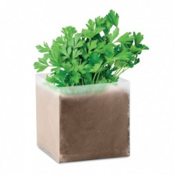 Semi di prezzemolo